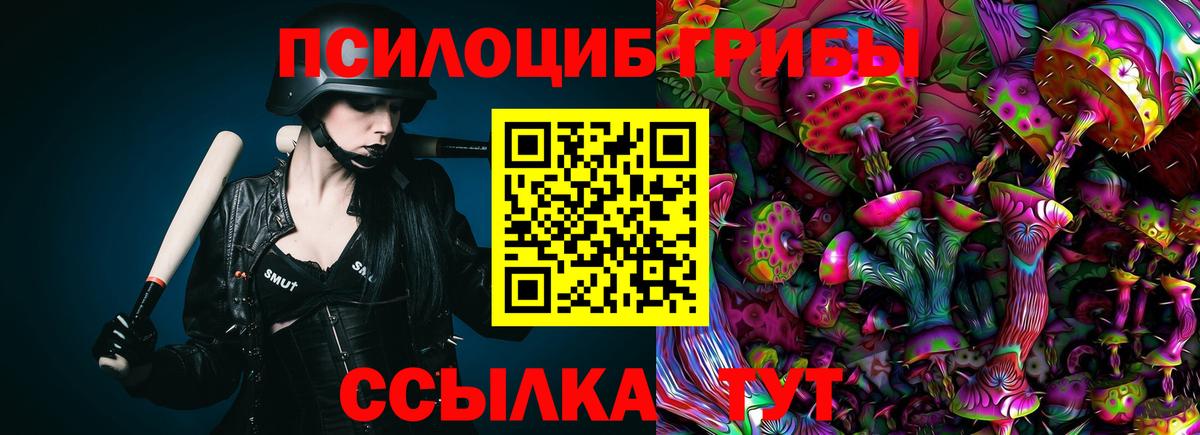 Галлюциногенные грибы MAGIC MUSHROOMS Егорьевск