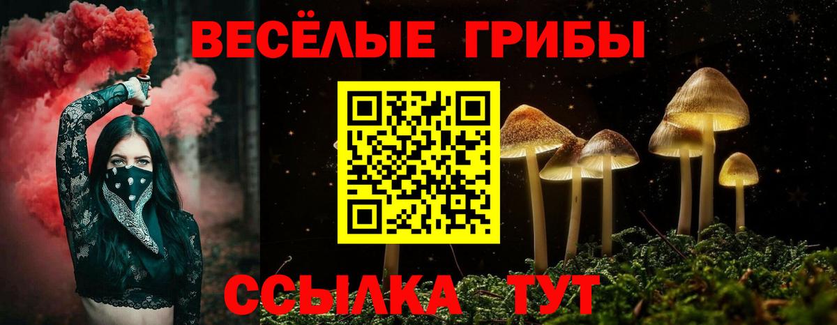Псилоцибиновые грибы GOLDEN TEACHER  Вход с VPN  Псилоцибиновые грибы ЛСД  Егорьевск 